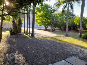 Image 9 - 245158