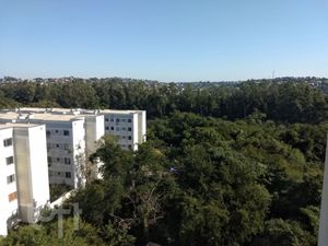 Image 31 - 245225