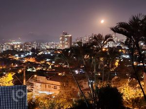 Image 22 - 245486