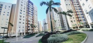 Image 28 - 245517