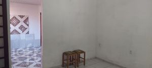 Image 5 - 245697