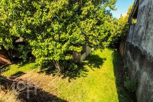 Image 23 - 245725