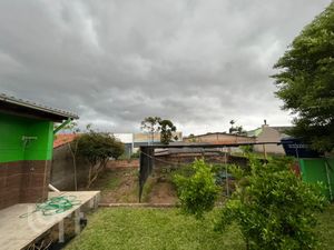 Image 5 - 245919