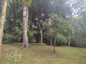 Image 24 - 245936