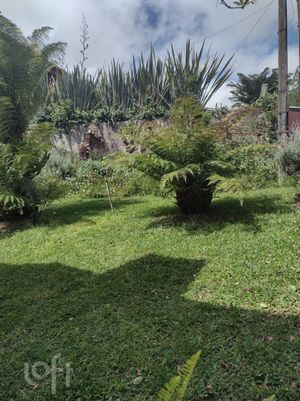 Image 23 - 245936