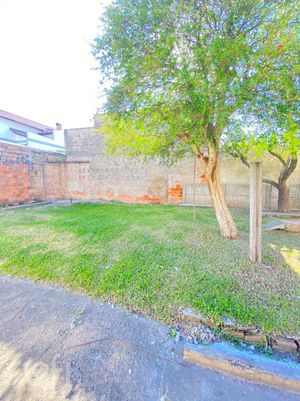Image 7 - 246059