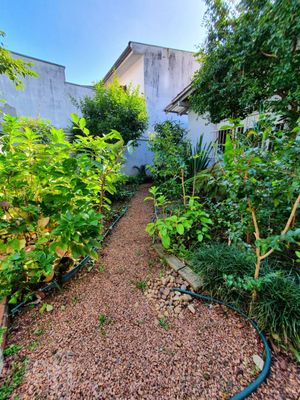 Image 17 - 246373
