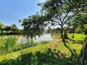 Image 22 - 246373
