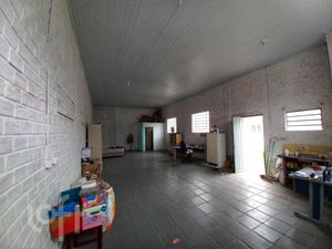 Image 31 - 246559