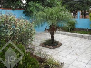 Image 7 - 246561