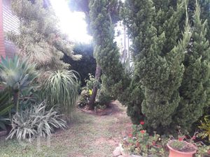 Image 18 - 246690