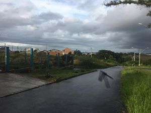 Image 3 - 247067