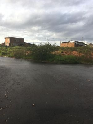 Image 4 - 247067