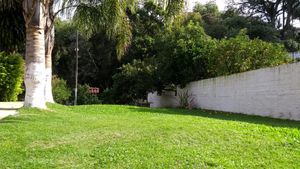 Image 2 - 247098