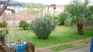 Image 10 - 247258
