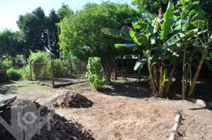 Image 9 - 247314