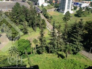Image 10 - 247771