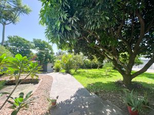 Image 13 - 247838