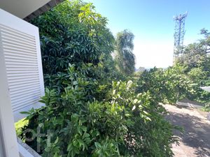 Image 18 - 247838