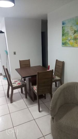 Image 4 - 248341