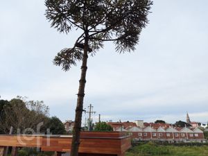 Image 32 - 248385