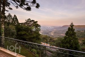 Image 5 - 248488