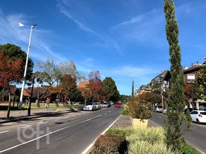 Image 12 - 249537
