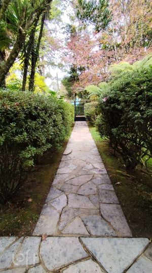 Image 0 - 249537