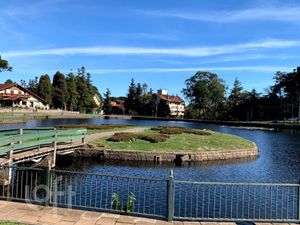 Image 10 - 249537