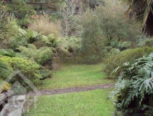 Image 6 - 249537