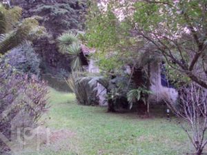 Image 5 - 249537