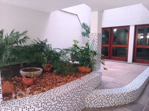 Image 5 - 249822