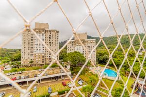 Image 14 - 249879