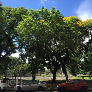 Image 1 - 249972