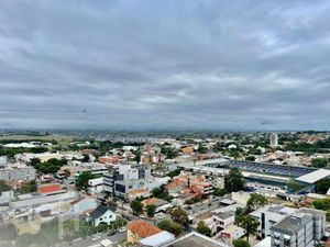 Image 8 - 249988