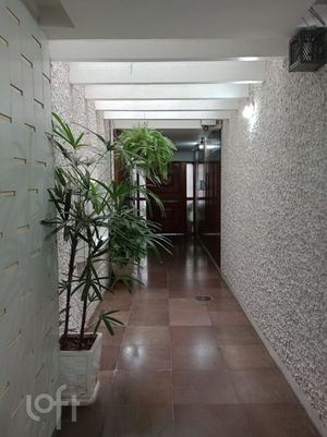 Image 13 - 250196