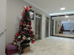 Image 30 - 250278