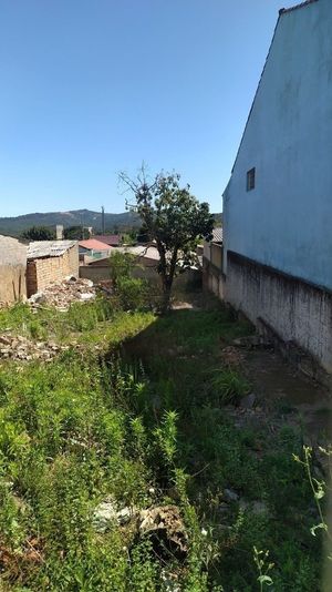 Image 5 - 250314
