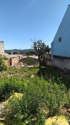 Image 7 - 250314
