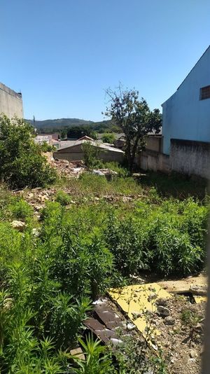 Image 8 - 250314