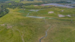 Image 11 - 250377