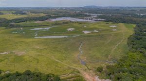 Image 14 - 250377