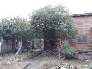 Image 18 - 250395