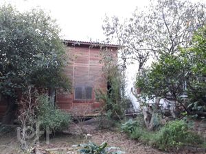 Image 20 - 250395