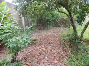 Image 17 - 250395