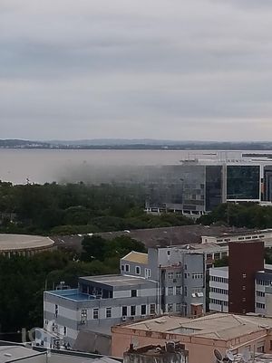 Image 45 - 250464