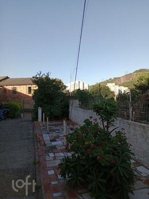 Image 17 - 250468
