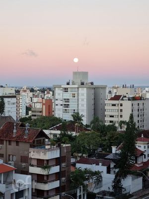 Image 6 - 250517