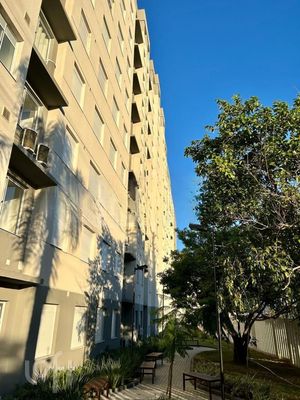 Image 4 - 250750