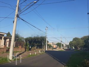 Image 8 - 250776
